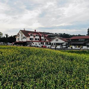 Penzion Hoffer Hotel นิตรา Exterior photo