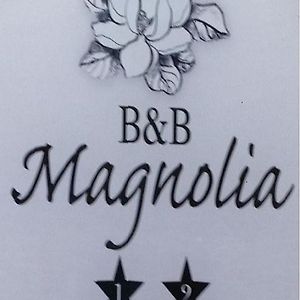 Magnolia Bed & Breakfast กาซาเล มอนแฟร์ราโต Exterior photo