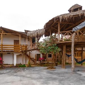 Hostal Tortuga Dorada Hotel ปูแอร์โตโลเปซ Exterior photo