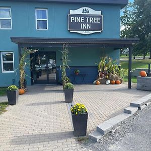 Pine Tree Inn บังกอร์ Exterior photo