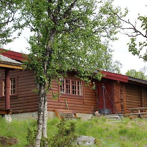 Bjornehiet Havsdalen Villa ไยโล Exterior photo
