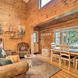Pet-Friendly Adirondack Cabin With On-Site Lake ซาราแนคเลก Exterior photo