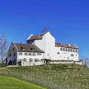 Hotel & Restaurant Schloss Schwandegg Oberstammheim Exterior photo