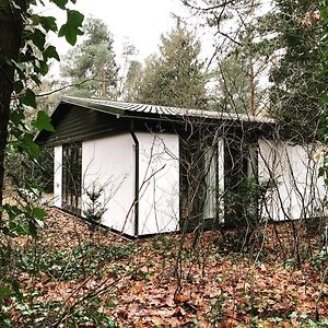 Www Huis Op De Veluwe Nl Villa นึนชเปท Exterior photo