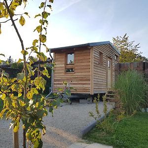 Zirbenholz Tiny House "Waldhauszeit" Am See Villa Mucke Exterior photo