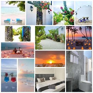 Coral Castle - Goidhoo Maldives Hotel บา อุทุรุ Exterior photo