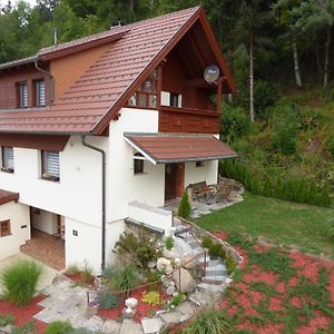 Ambiente Chalet Julienhohe Villa Niederdorf  Exterior photo