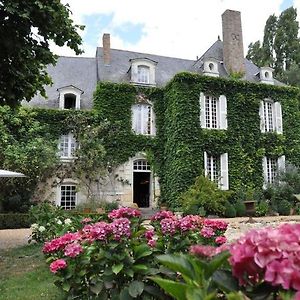 La Marronniere Hotel Cheffes-sur-Sarthe Exterior photo