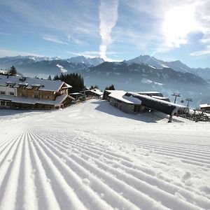 Elegant Chalet With Sauna In Mittersill Salzburg Apartment ฮอลเลอร์บาค อิม พินซ์เกา Exterior photo