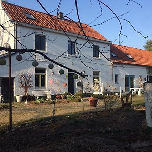 Slaaphuisje Het Vliegend Varken Bed & Breakfast เกงค์ Exterior photo