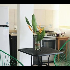 Room In Guest Room - Apartment With Blacony And Sea View ปูแอร์โตเอสกอนดิโด Exterior photo