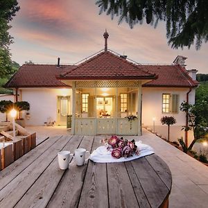 Vila Vilma Vineyard Cottage เลนดาวา Exterior photo