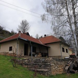 Kuca Za Odmor - Martic, Rudno, Golija Villa คราลเยโว Exterior photo
