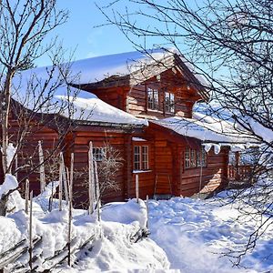 5 Bedroom Pet Friendly Home In Hovden I Setesdal Exterior photo