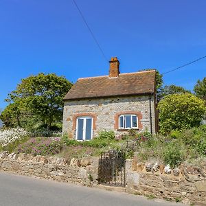 Ladylands Cottage นิวพอร์ต Exterior photo