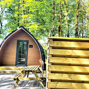 The Pod-Hot Tub-Woodland Lodges-St Clears-คาร์มาเทน Exterior photo