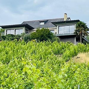 Maison Des Coteaux Blancs Chaudefonds-sur-Layon Exterior photo