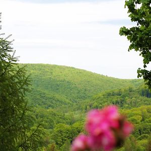 Lili'S Lovely Log Home In The Forest บุคส์เซนต์เคเรซต์ Exterior photo