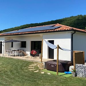 Villa Jacuzzi, Terrain De Petanque Et Aire De Jeux Vue Sur Les Pyrenees Seilhan Exterior photo