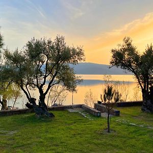 Seafront Traditional Stone House In Sunset Olive Grove - B Villa Alyfanta Exterior photo