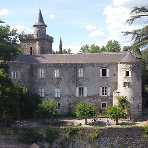 Le Chateau De Cambiaire Bed & Breakfast Saint-Etienne-Vallee-Francaise Exterior photo