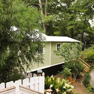 The Greenhouse Cozy Cottage- Walk To Downtown! ไอเพไลกา Exterior photo