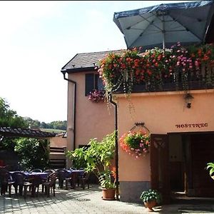 Restaurace A Penzion Na Ruzku Hotel Morina Exterior photo