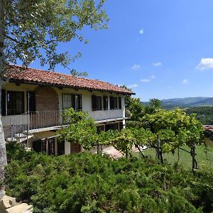 Cascina Flino - Tra Le Vigne - Appartamento 2 อัลบา Exterior photo