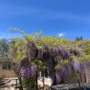 Le Clos Des Olivettes Bed & Breakfast Sainte-Croix-de-Quintillargues Exterior photo