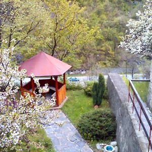 Forest Spring Hotel Narechenski Bani Exterior photo