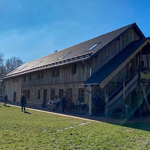 Scheunenherberge Schaefchenzaehlerei Bed & Breakfast บวร์ก Exterior photo