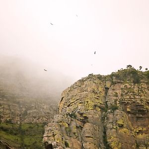 Cape Vulture Conservancy โฮดสปรูท Exterior photo