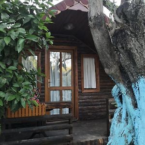 Zeytindagi Bungalow Hotel Mehmetalani Exterior photo