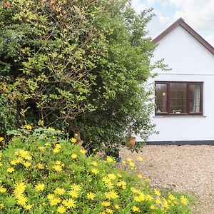 Bryher Cottage เฮลสตัน Exterior photo