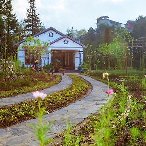 Thanh Truc Villa & Flower ซาปา Exterior photo