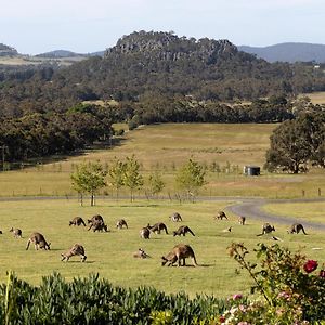 Hanging Rock Views Bed & Breakfast วูดเอน Exterior photo