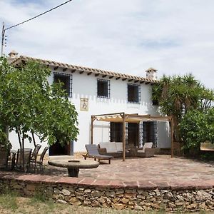 Mas De Paco, Chimenea, Barbacoa Y Piscina Villa Vall d'Alba Exterior photo