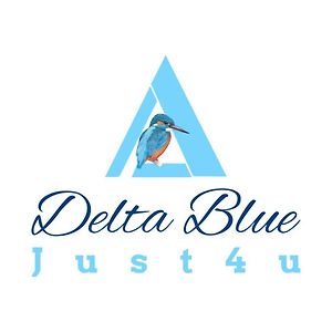 Delta Blue Villa Maliuc Exterior photo