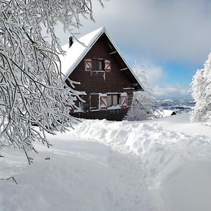 La Cabane Au Pied Des Pistes ชาสเทรค์ Exterior photo