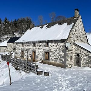 Maison De Campagne Spacieuse A Chastreix Avec Cheminee Villa Exterior photo