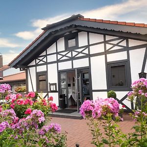 Hotel Rosenhof Gmbh รัมชไตน์ มีเซินบาค Exterior photo