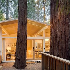 Window To The Redwoods - Near Downtown Mv, Dipsea Trail, & Muir Woods Villa มิลวัลเลย์ Exterior photo