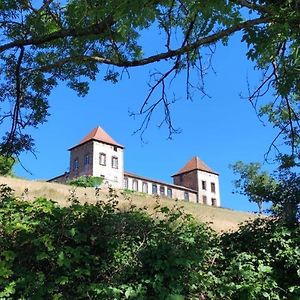 Chateau De Gorze Germolles-sur-Grosne Exterior photo