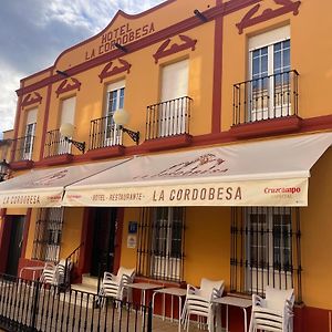 Hotel La Cordobesa อลังเก Exterior photo