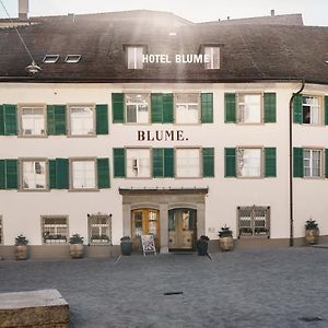 Blume Baden Hotel & Restaurant บาเดิน Exterior photo