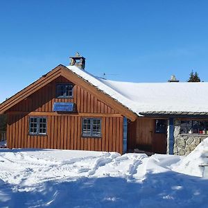 Cozy Log Cabin At Beautiful Nystolsfjellet Villa โกล Exterior photo