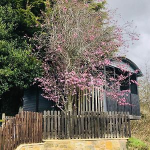 The Cherry Tree Gypsy Wagon Villa บันเบอรี Exterior photo