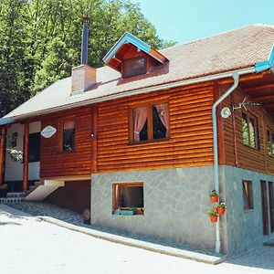 Etno Domacinstvo Milenkovic Villa เดสโปโตวัก Exterior photo