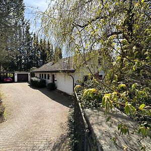 Private Spacious Villa Near Winterberg And Willingen 14 Guests Huge Garden Free Parking For Multiple Cars ออลสเบิร์ก Exterior photo