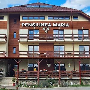 Pensiunea Maria Hotel จิเลา Exterior photo